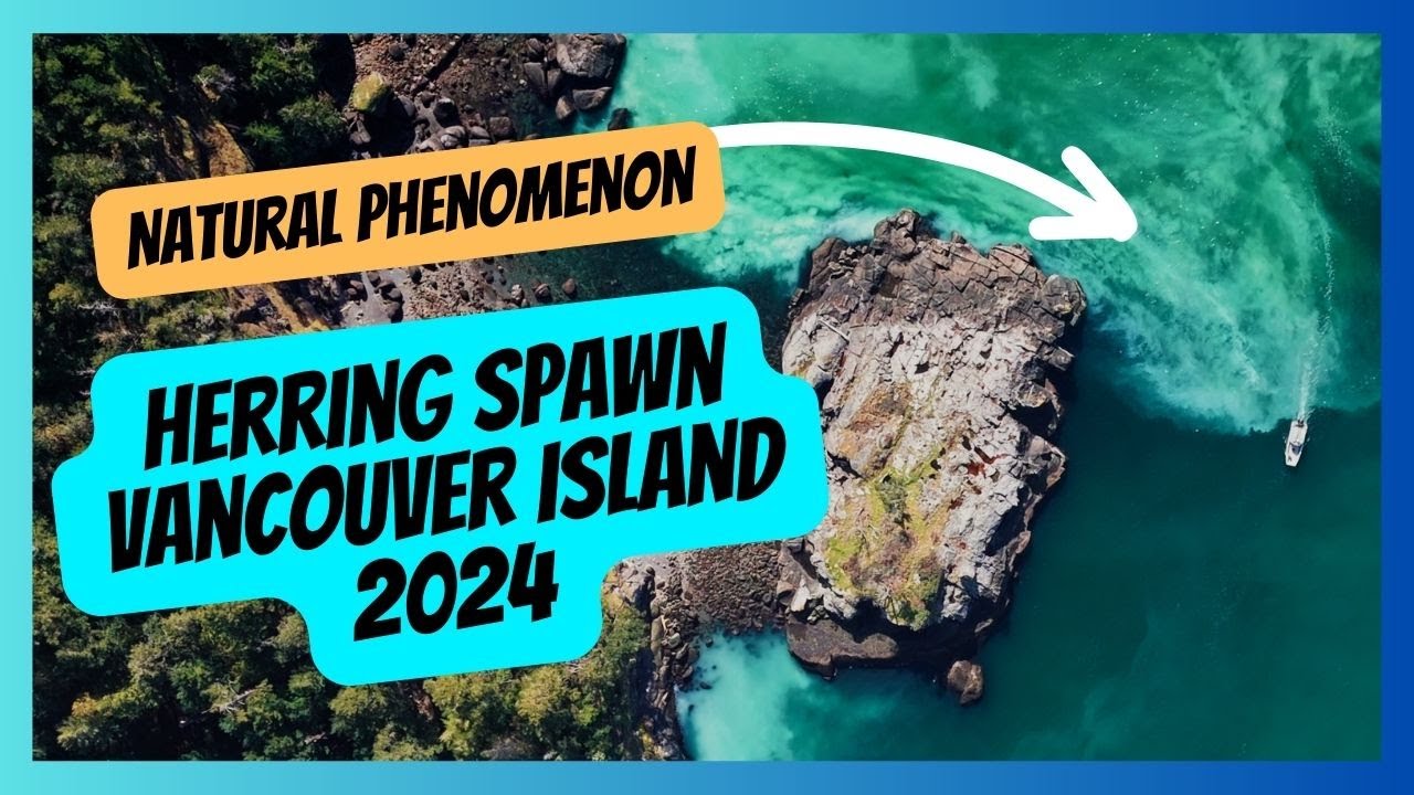Aerial view of turquoise coastal water around a rocky island on Vancouver Island