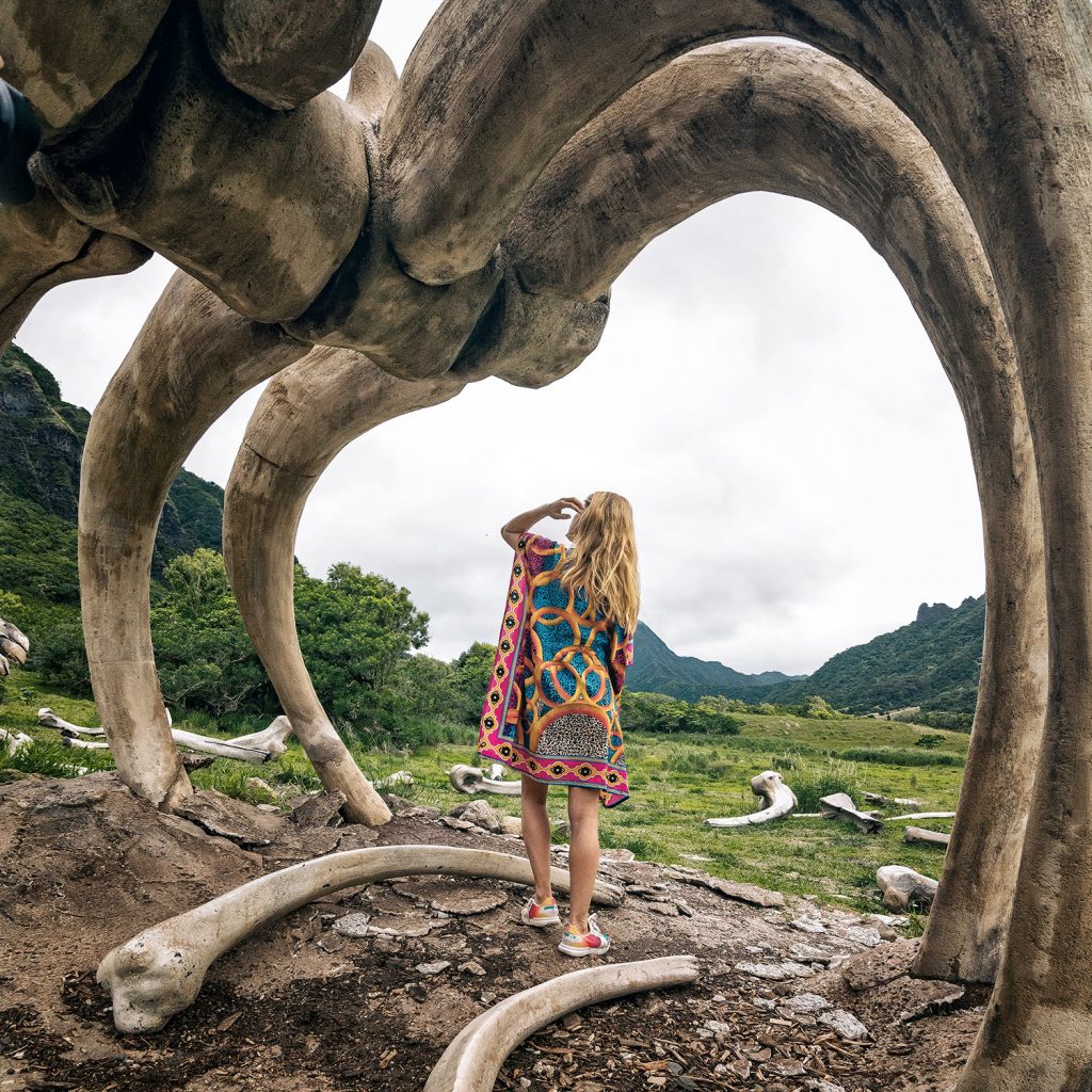 Kong Island Hawaii