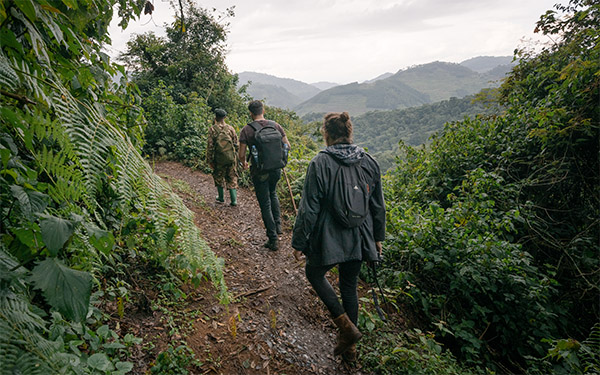 Hiking to Gorillas Uganda