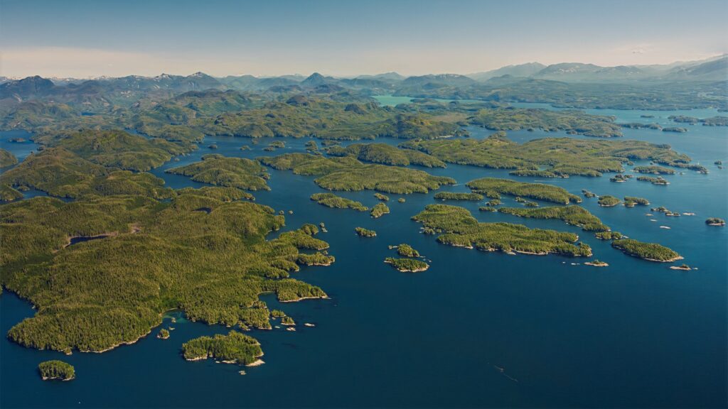 Aerial view of coastal wetlands and waterways from a helicopter