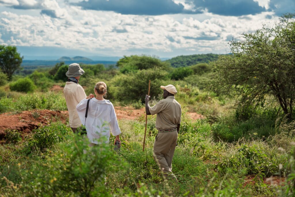 Guests and guides walking through open bush on safari in Kenya