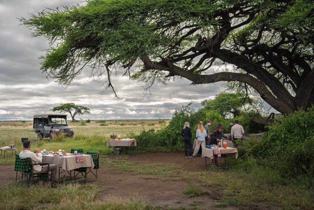 Breakfast set beneath a broad acacia tree on the savanna