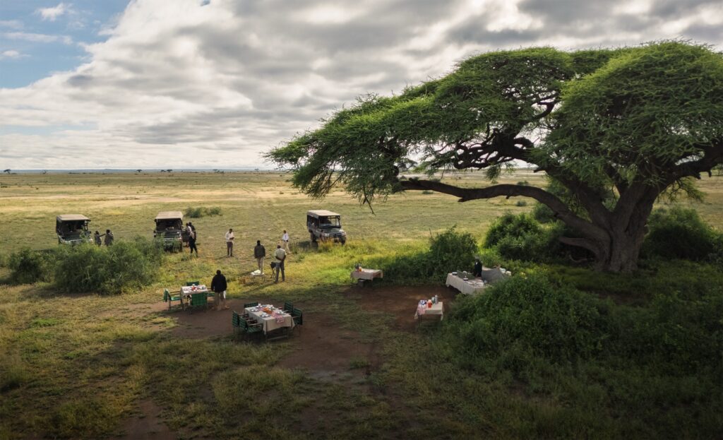 Safari camp and acacia tree seen from above in Kenya