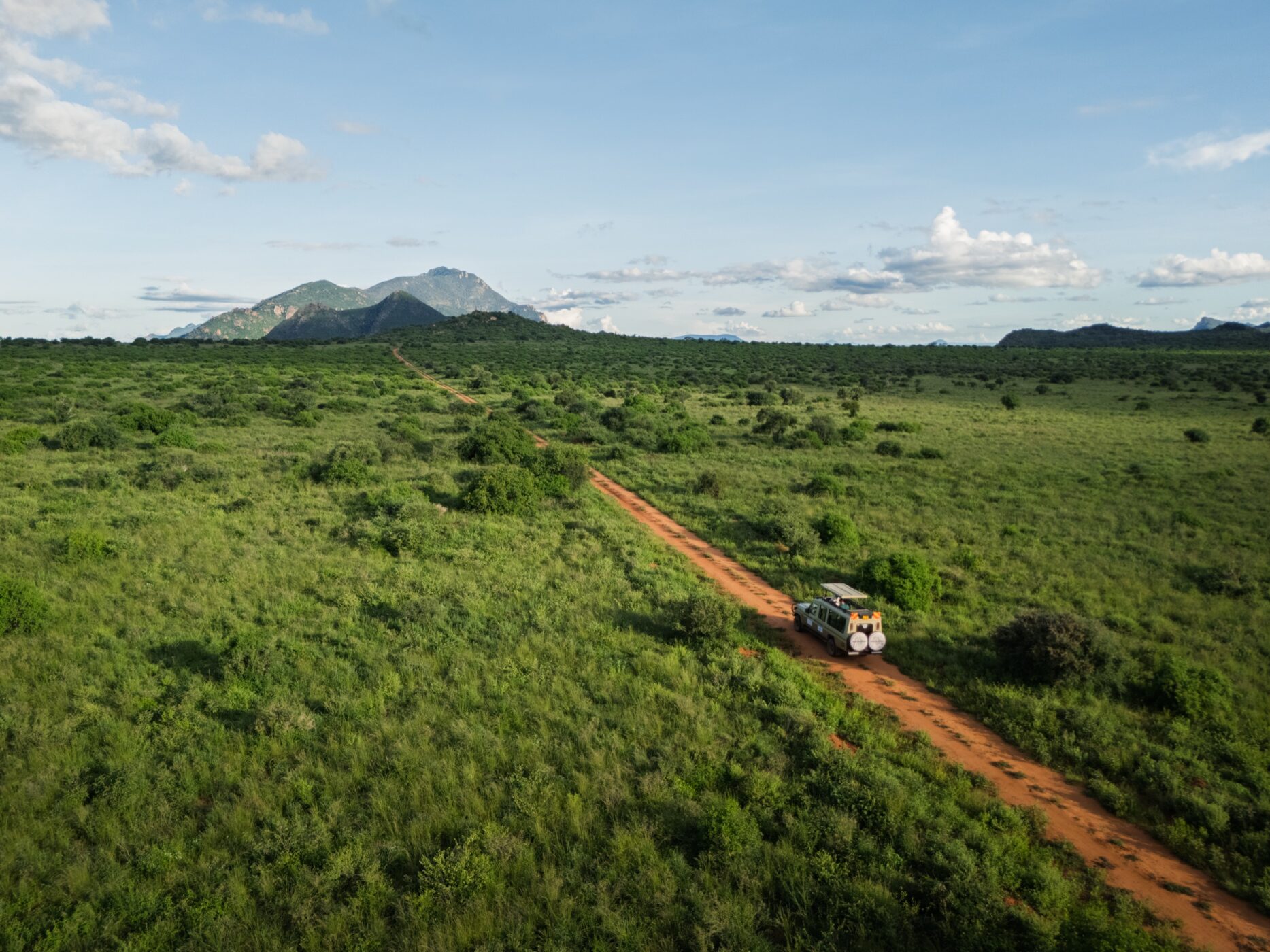 Safari vehicle following a red track through a vast green landscape