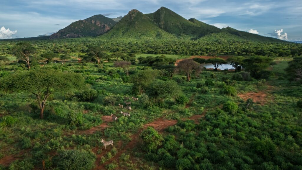 Aerial view across green hills and a waterhole in Kenya