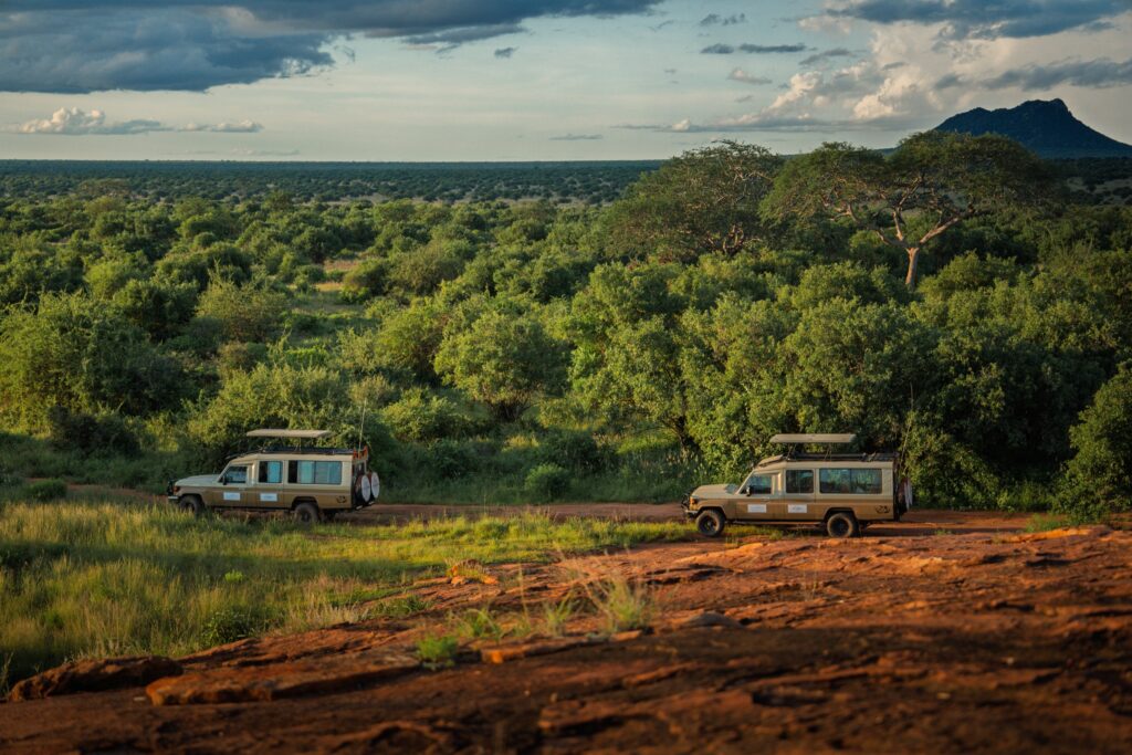 Safari vehicles crossing a red-earth track through Kenyan bush