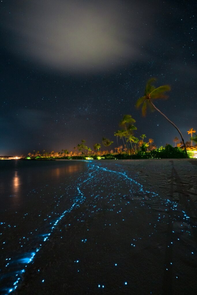 Bioluminescent water glowing along a Maldivian beach at night