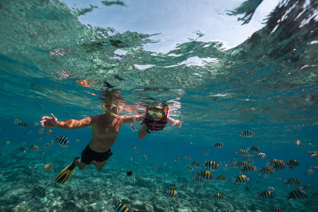 Adult and child snorkelling among tropical fish near Mnemba Island