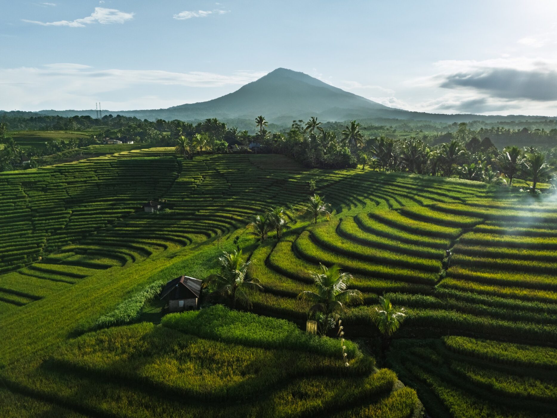 Lush rice terraces at Belimbing in Bali