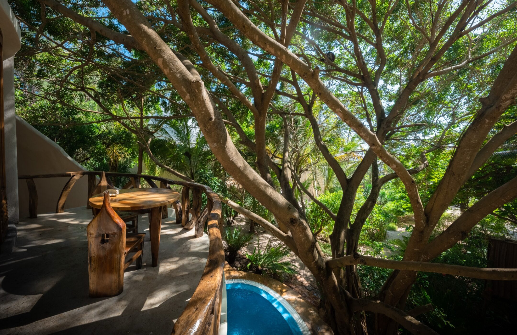 Shaded pool terrace beneath a broad tropical tree at Villa Alfajiri